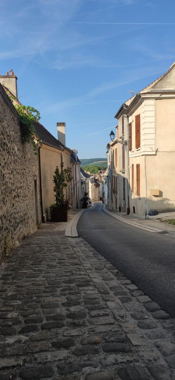 Esope By Kleidos-Ravissant T2 En Plein Centre De Château-Thierry Exterior foto